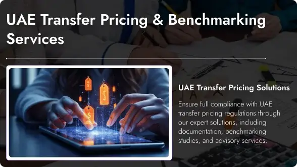 Benchmarking & Transfer Pricing